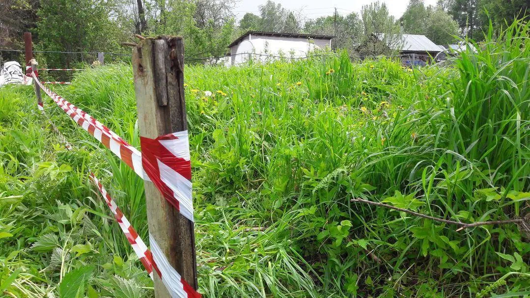 Более 19,5 тыс объектов недвижимости зарегистрировали в Подмосковье с начала года