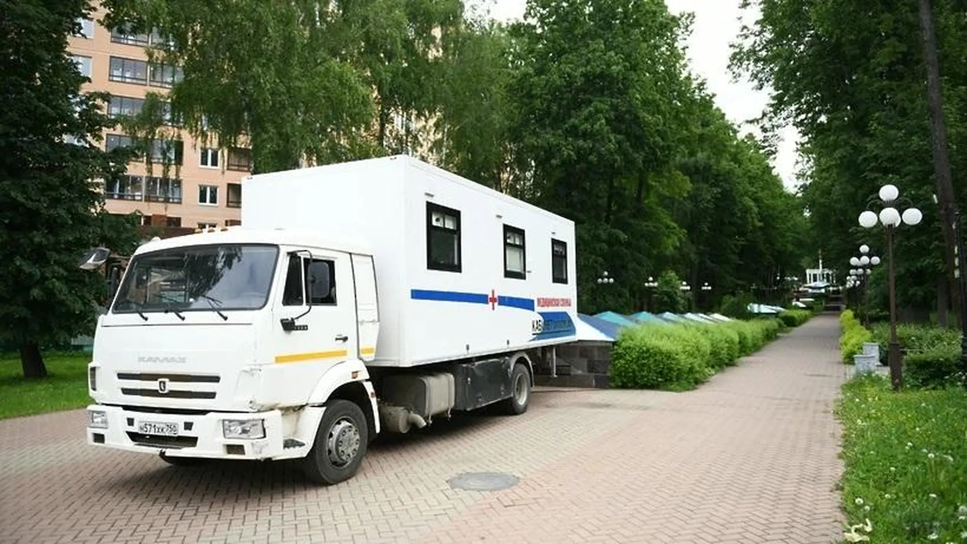 Акция по проверке здоровья пройдет в парках 12 округов Подмосковья на  выходных | РИАМО в Красногорске