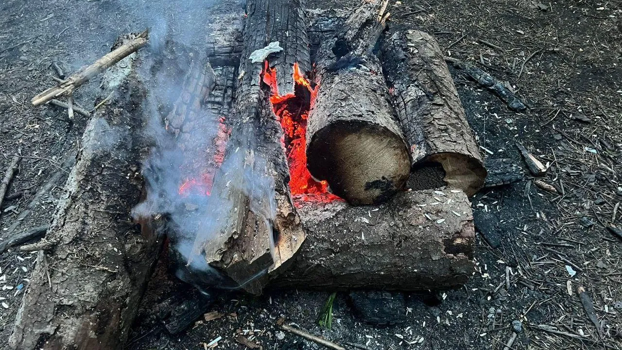 2,1 тыс нарушений правил пожарной безопасности выявлено в лесах Подмосковья
