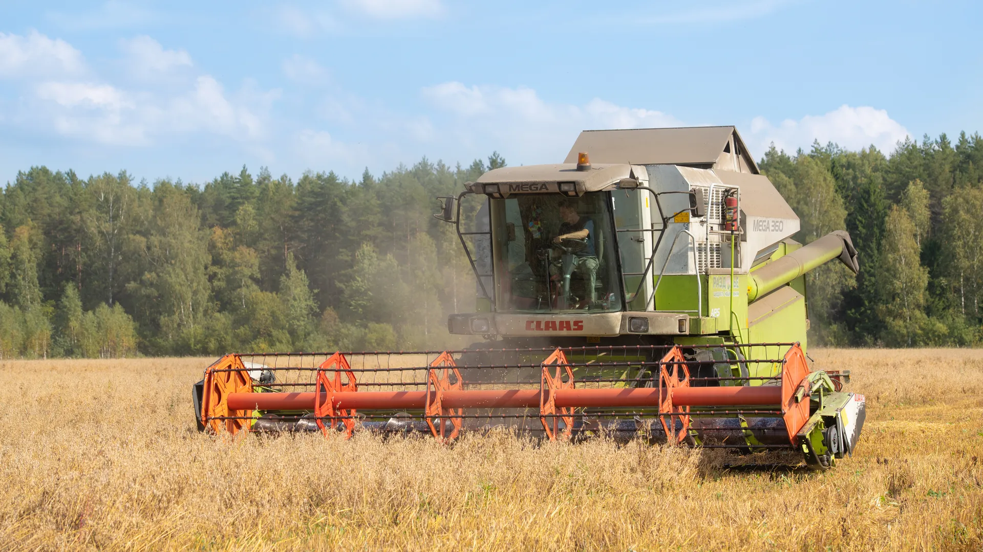 Глава Зернового союза: экспорт продукции АПК сократится в новом сезоне