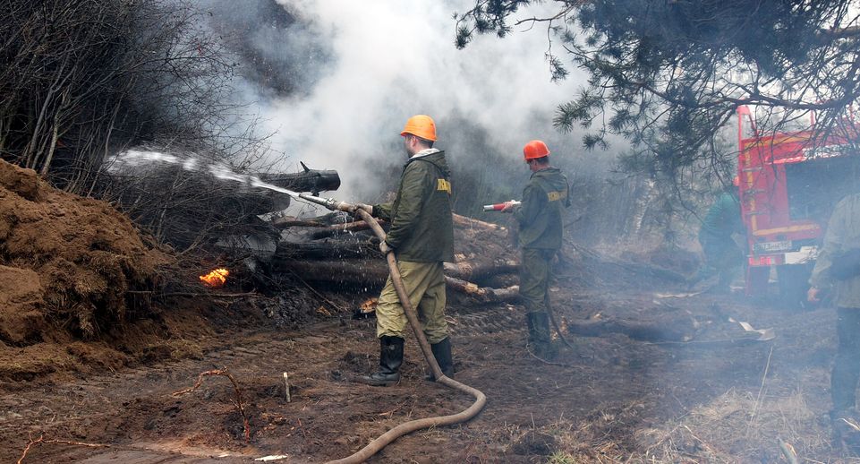 Агулов: 95% лесных пожаров в Подмосковье — вина граждан