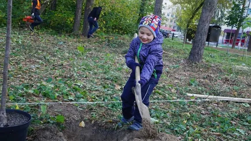 Акцию «Наш лес» с посадкой саженцев в Подольске перенесли из‑за непогоды