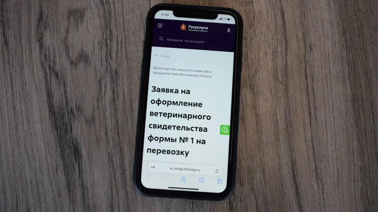 В Подмосковье запустили онлайн-сервис для получения ветеринарного  свидетельства | РИАМО