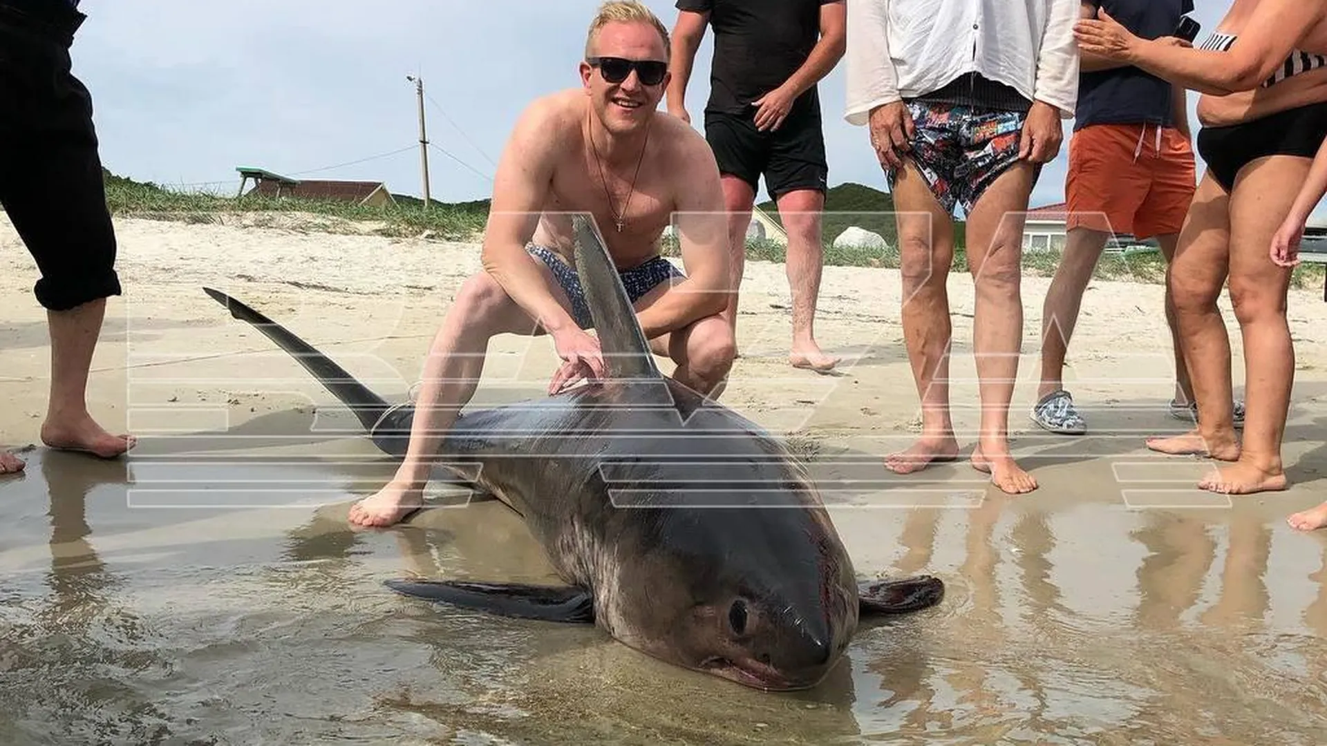 В Приморье отдыхающие поймали акулу рядом с турбазой и устроили фотосессию