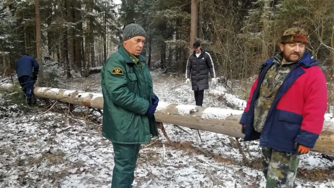 В Орехово‑Зуевском лесничестве устранили последствия ветровала