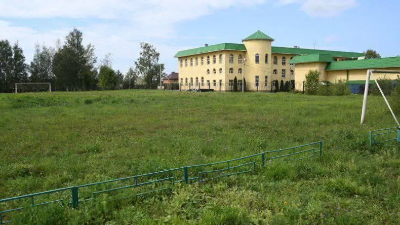 В Сергиевом Посаде благоустроят футбольное поле на Гражданском поселке