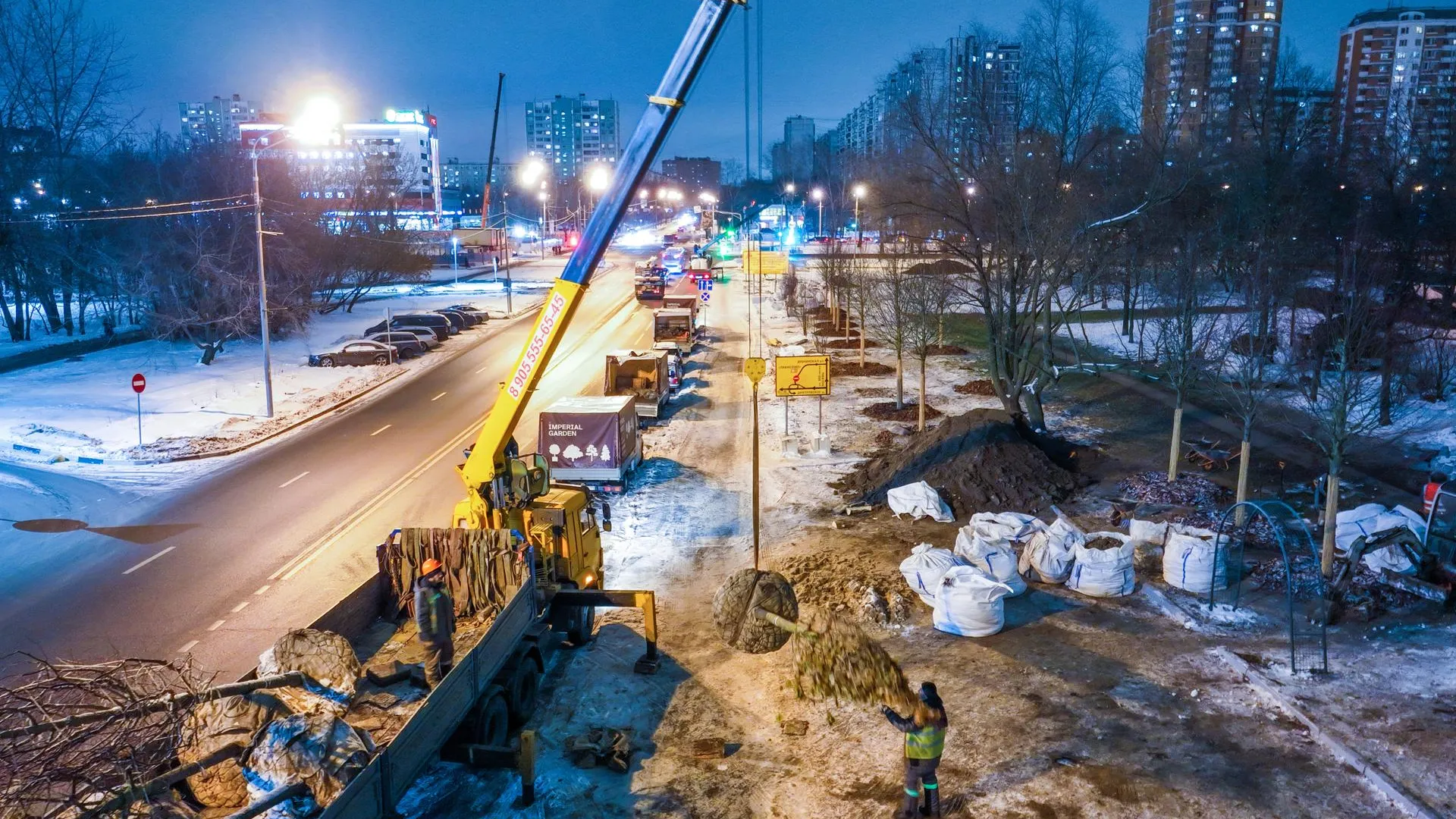 В Москве начали высадку деревьев вдоль Щелковского и Волоколамского шоссе