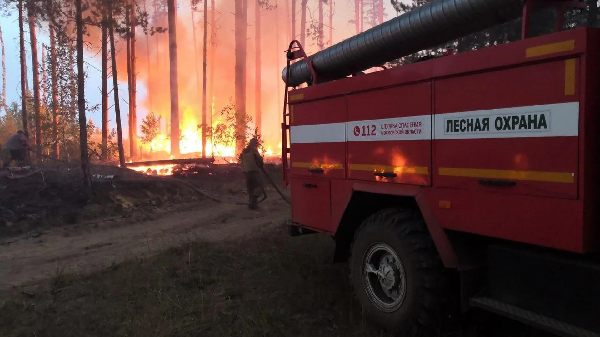 Более 400 лесных пожарных в Подмосковье застрахованы от несчастных случаев