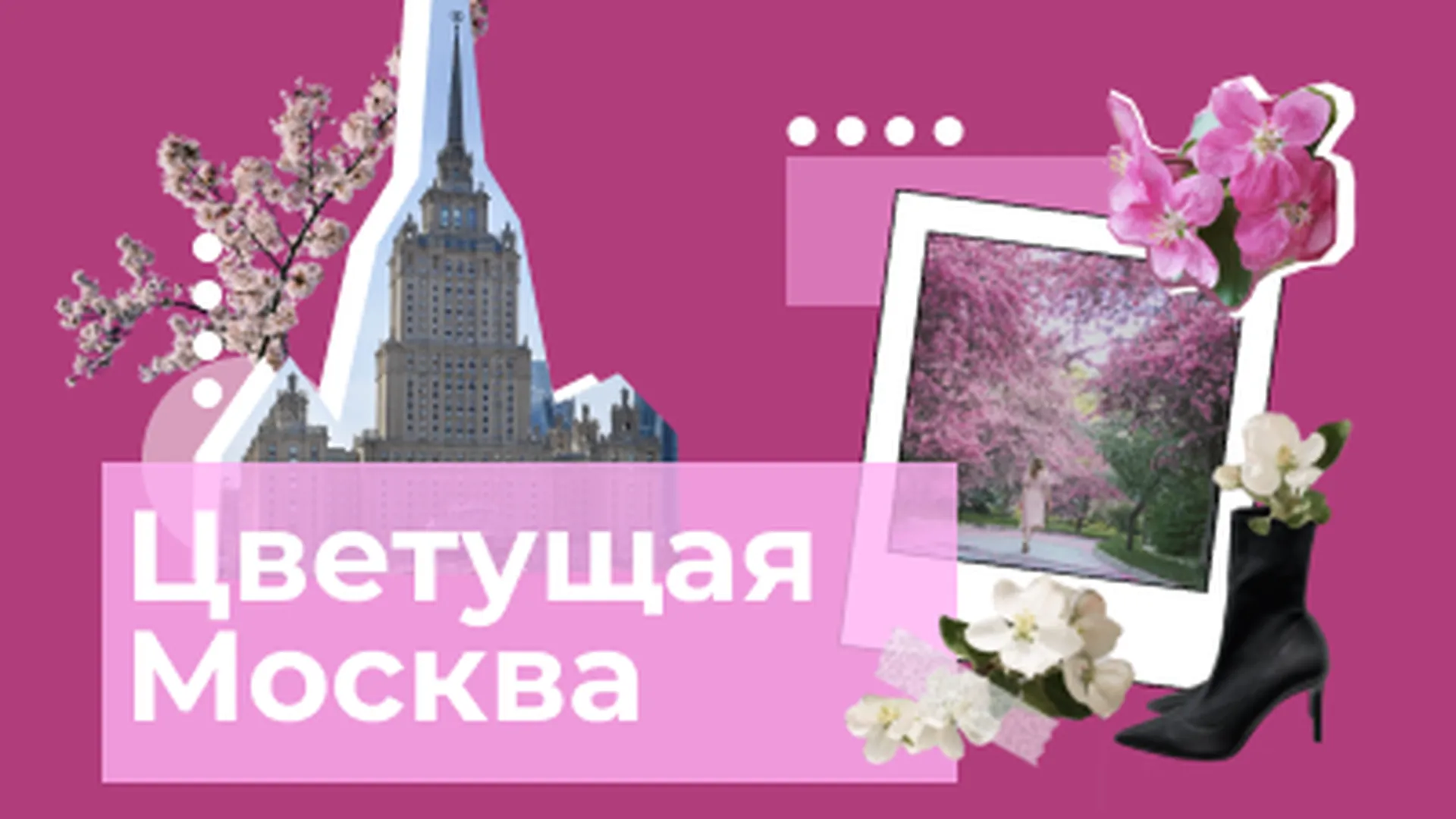 Цветущая Москва