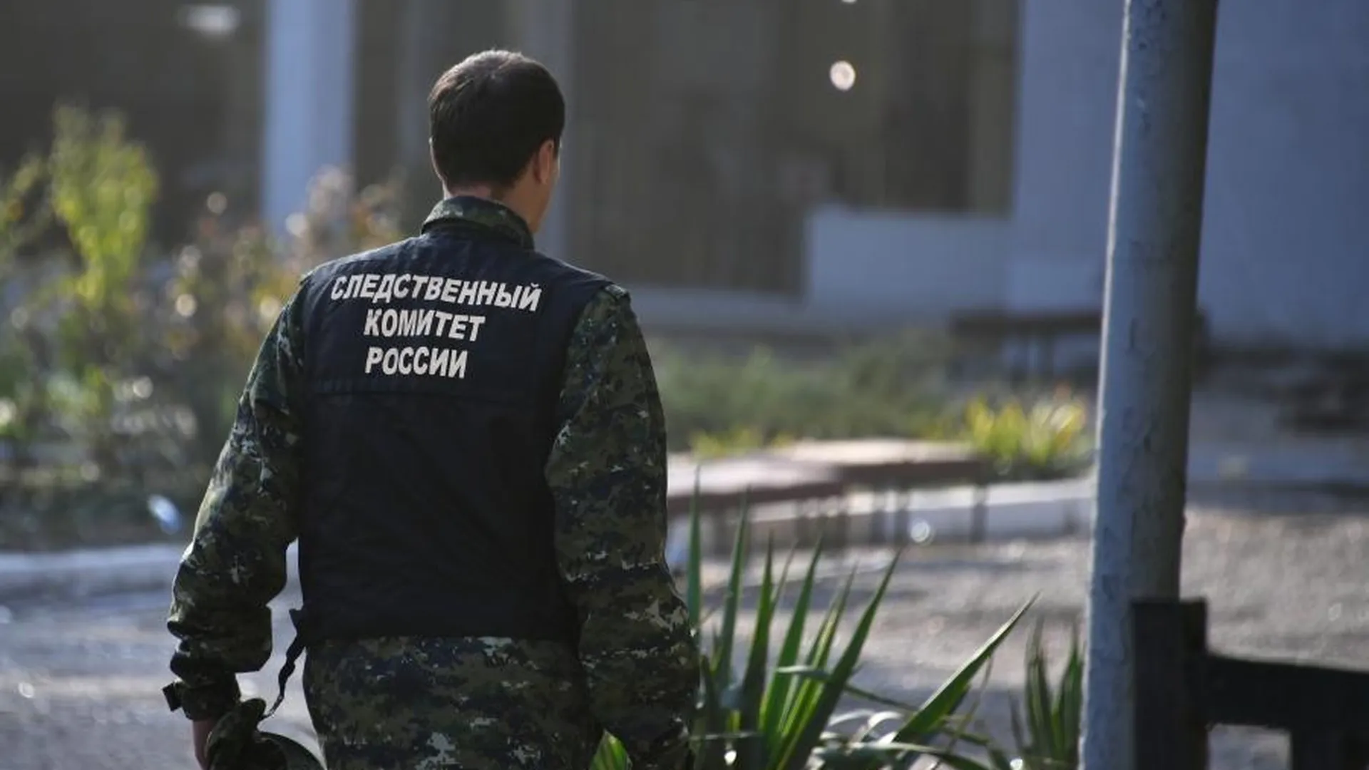 СК предъявил обвинения бывшим генпрокурору Украины и секретарю СНБО