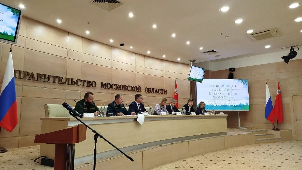 Подмосковным общественникам рассказали о лесах региона
