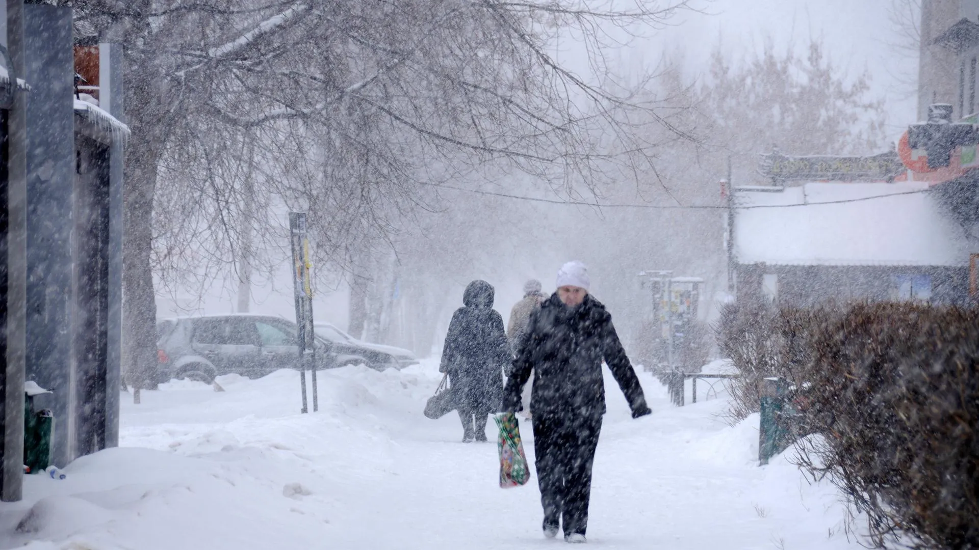Метель и до -5 градусов ожидается в Московском регионе в пятницу