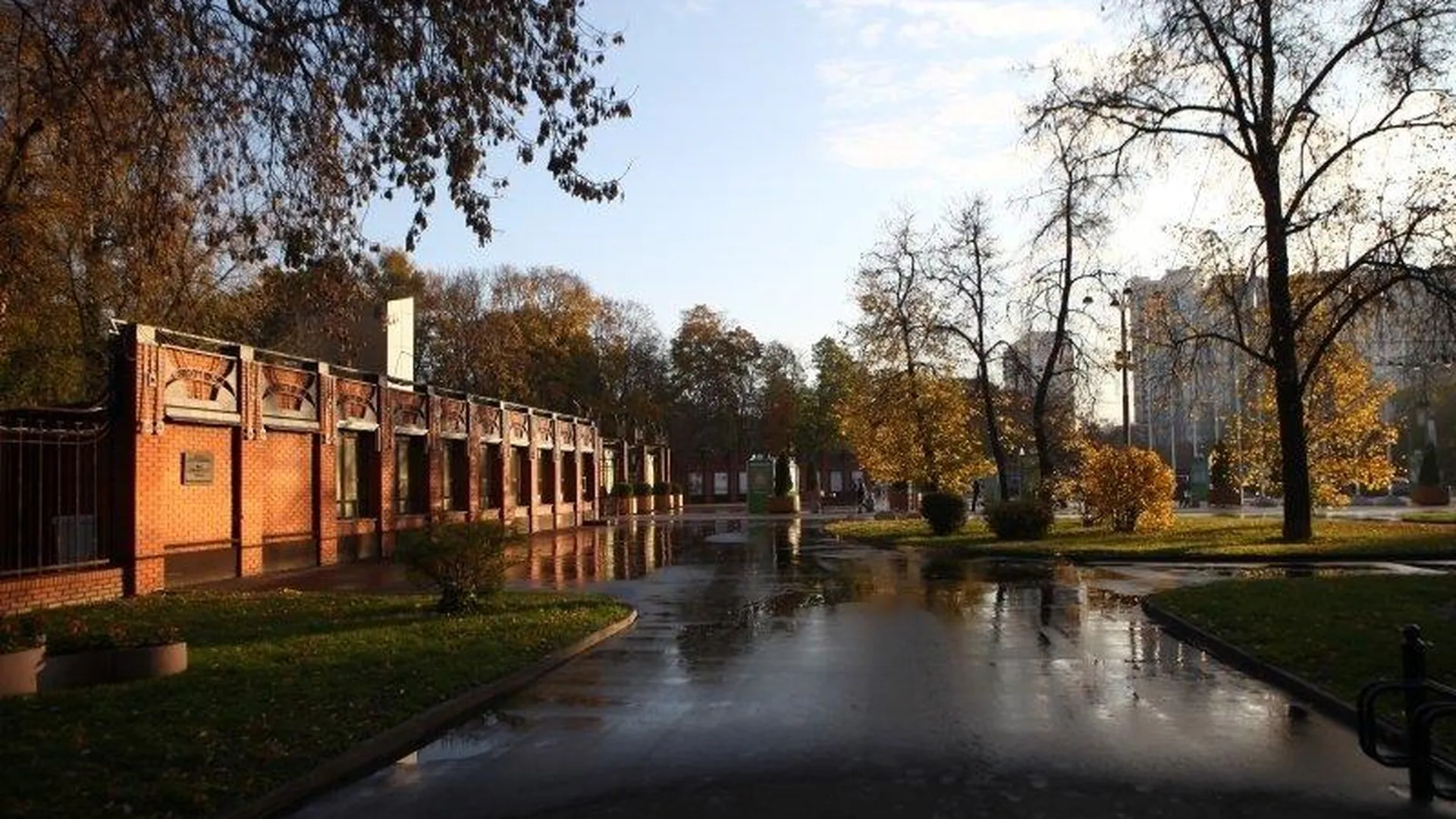 Сайт парка Сокольники