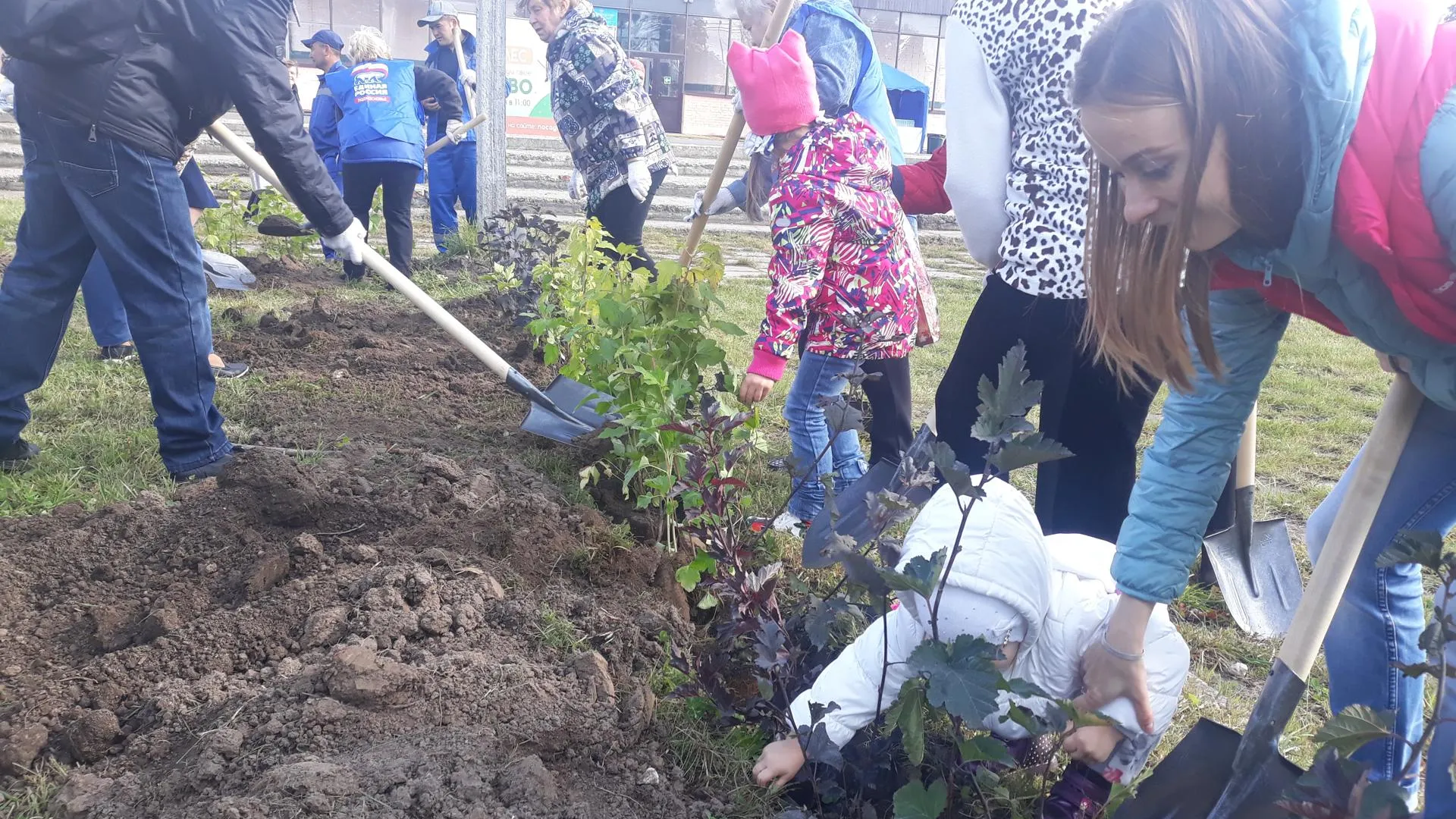 Около 100 деревьев и кустарников посадили в Домодедове в ходе акции «Наш лес»