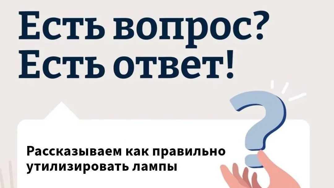В Подмосковье рассказали, как правильно утилизировать лампы