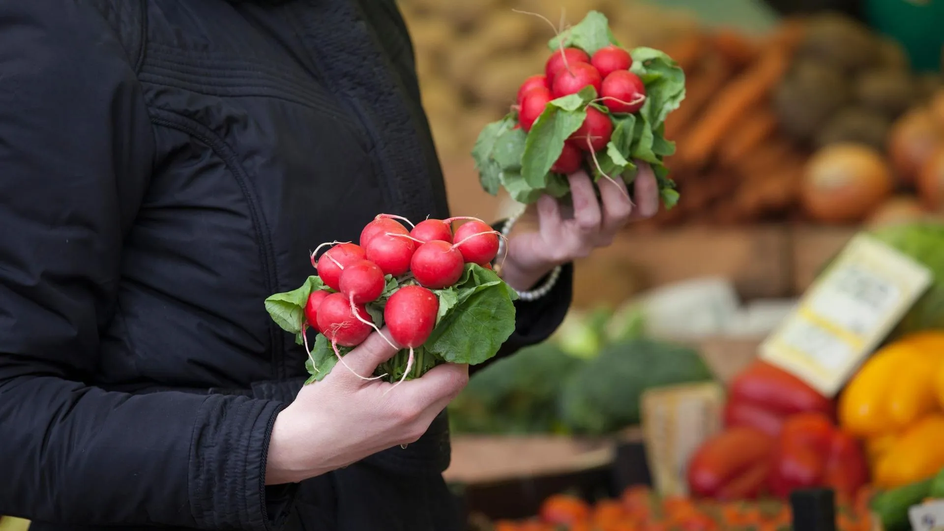 89 тыс исследований ягод и плодоовощной продукции провели в Подмосковье в 2025 г