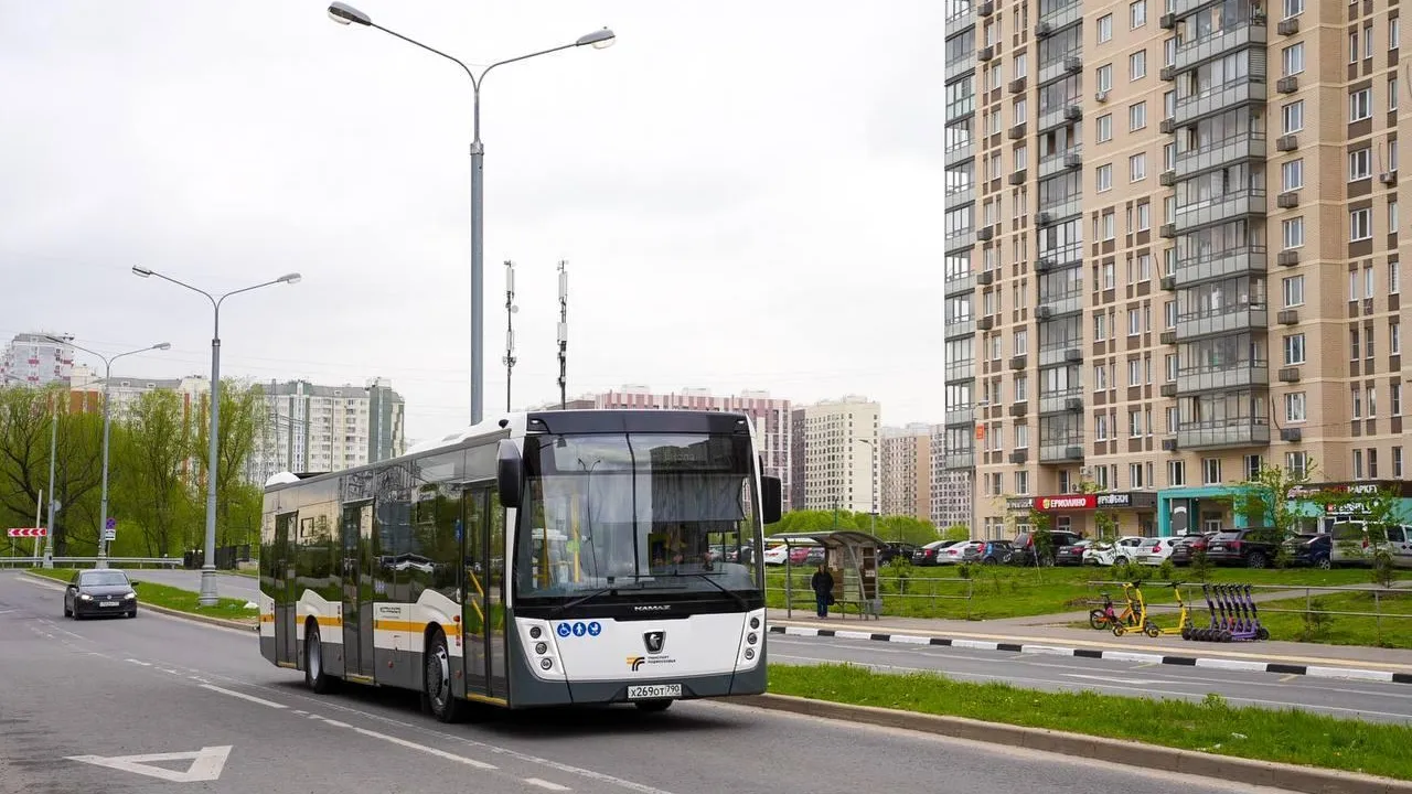 В Подмосковье назвали маршруты, на которых можно доехать до парка «Сестрорецкий»