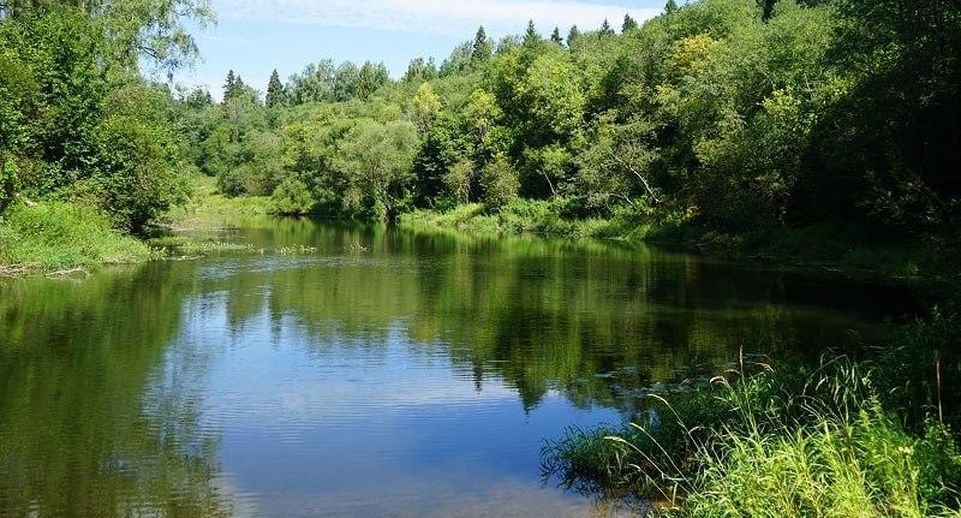 В Подмосковье река Осетр предоставлена для гидромелиорации земель