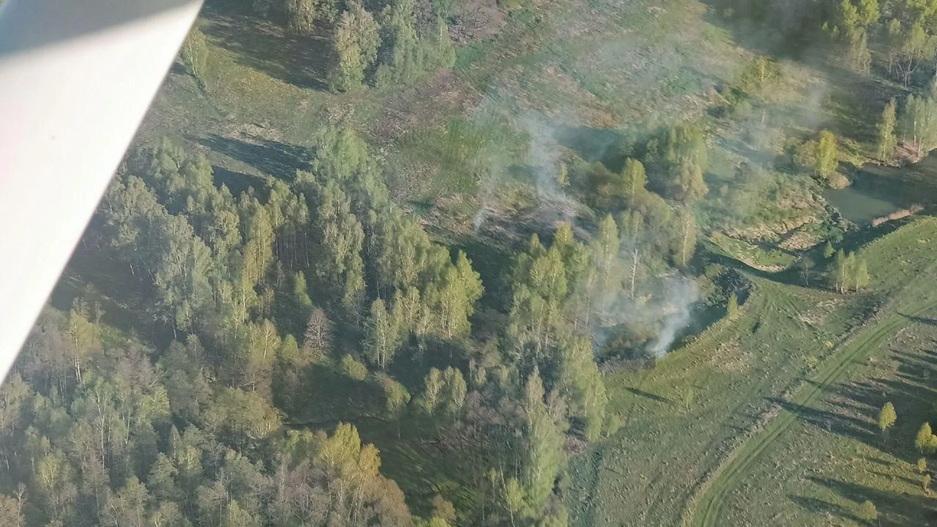 Лесной пожар ликвидировали в Балашихе