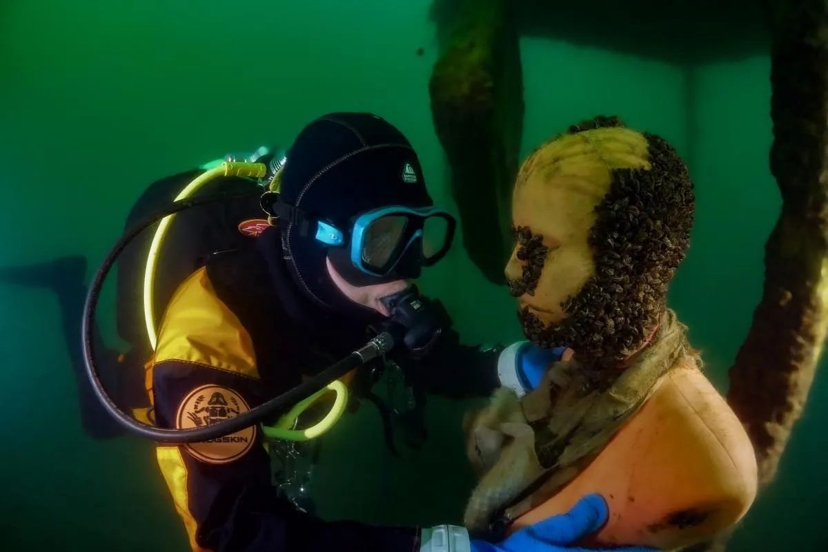 s-dive.ru