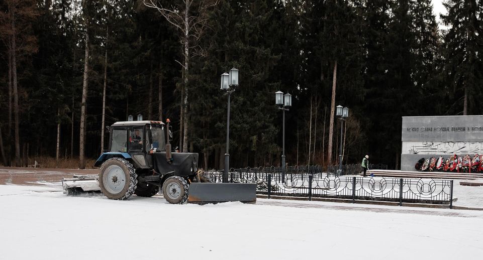 Деревья высадят у мемориала «Братские могилы» в Дубне