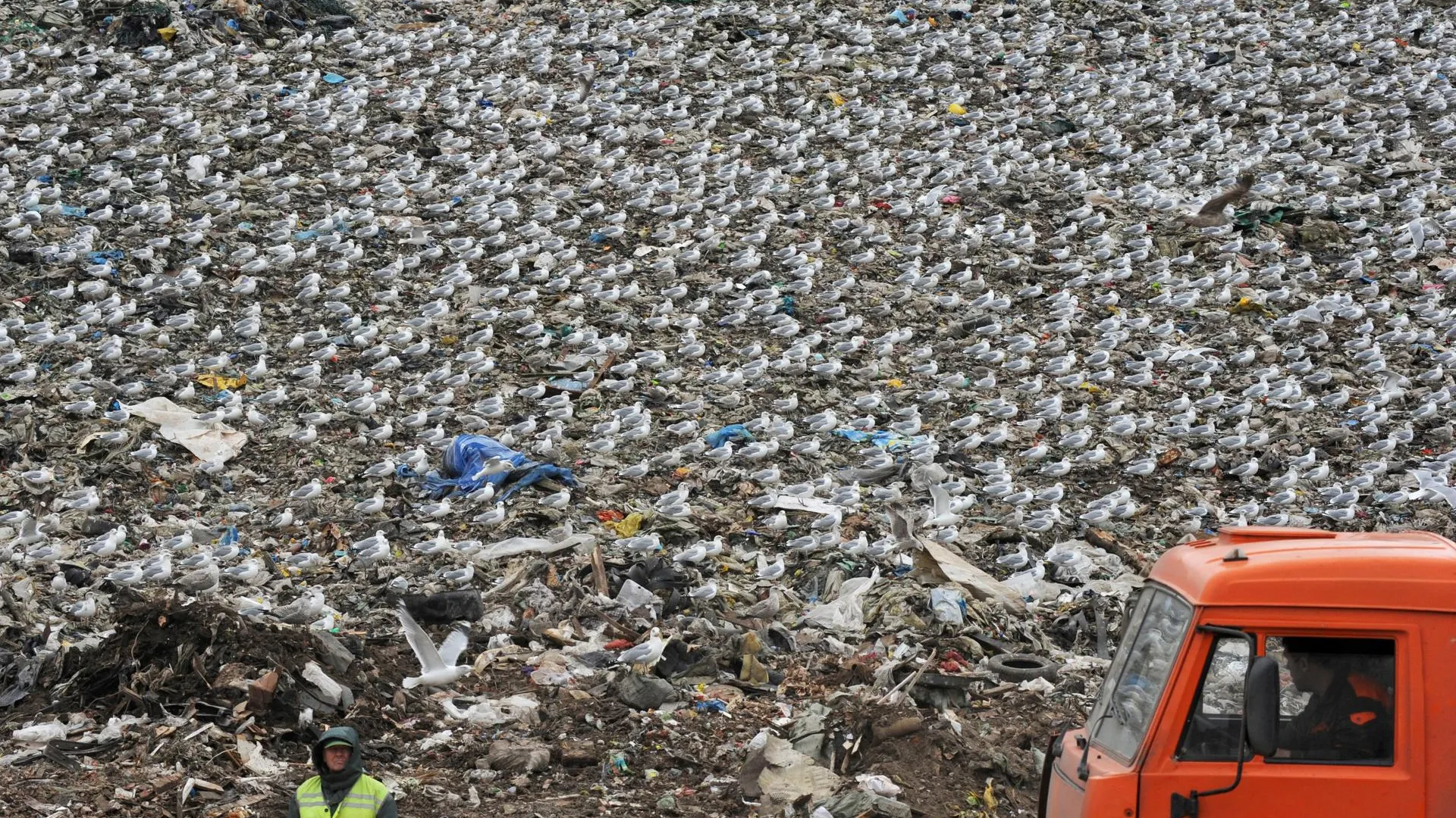 Шойгу поручил ускорить решения по незаконным мусорным полигонам