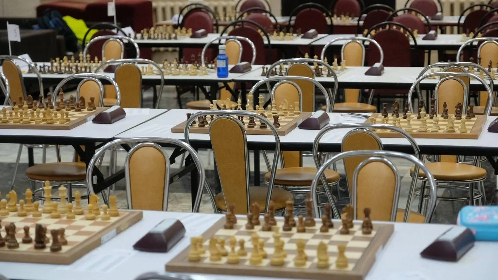 Финальный турнир по шахматам «Белая ладья» стартовал в Королеве