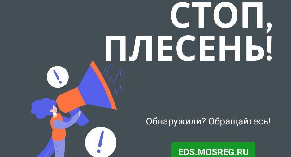 В Подмосковье более чем в 400 квартирах устранили грибок