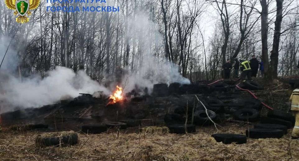 Прокуратура Москвы контролирует расследование причин пожара в «Битцевском лесу»
