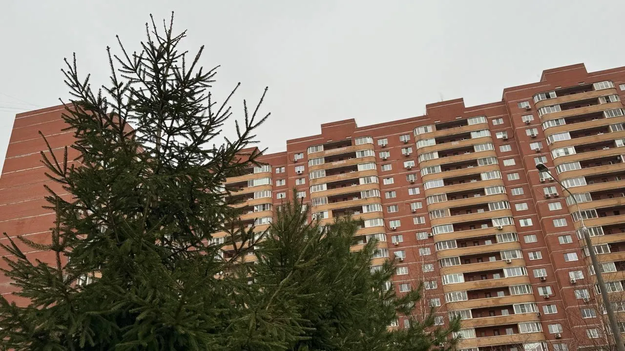 В Подмосковье рассказали, как распознать поддельную квитанцию на оплату ЖКУ