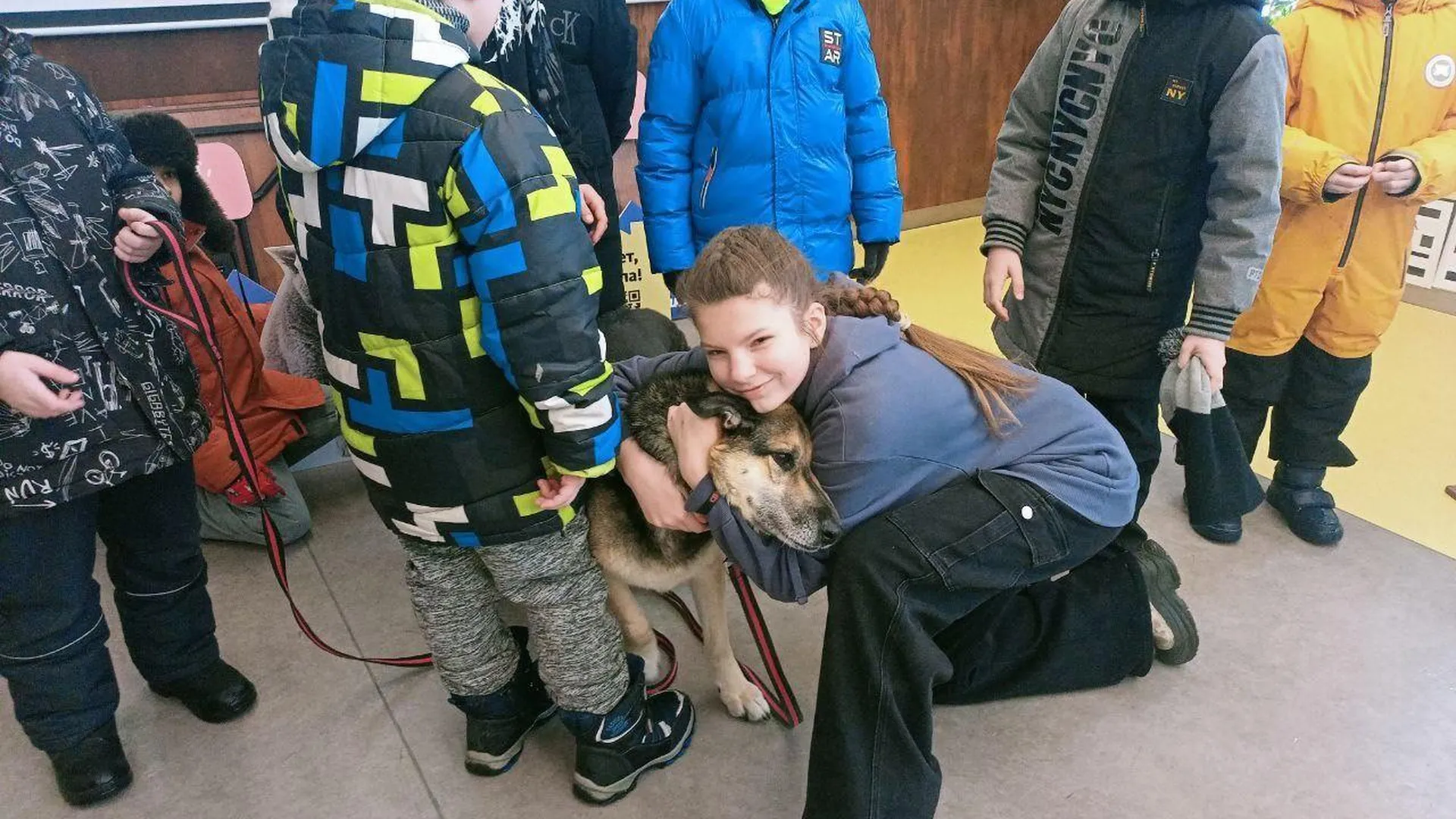 Школьники Подольска посетили приют для животных «Юна»