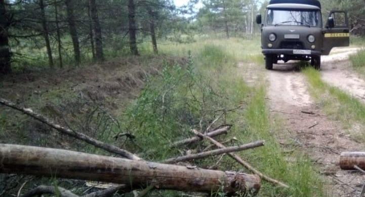 Подмосковные лесничие устранили завал на дороге в округе Луховицы