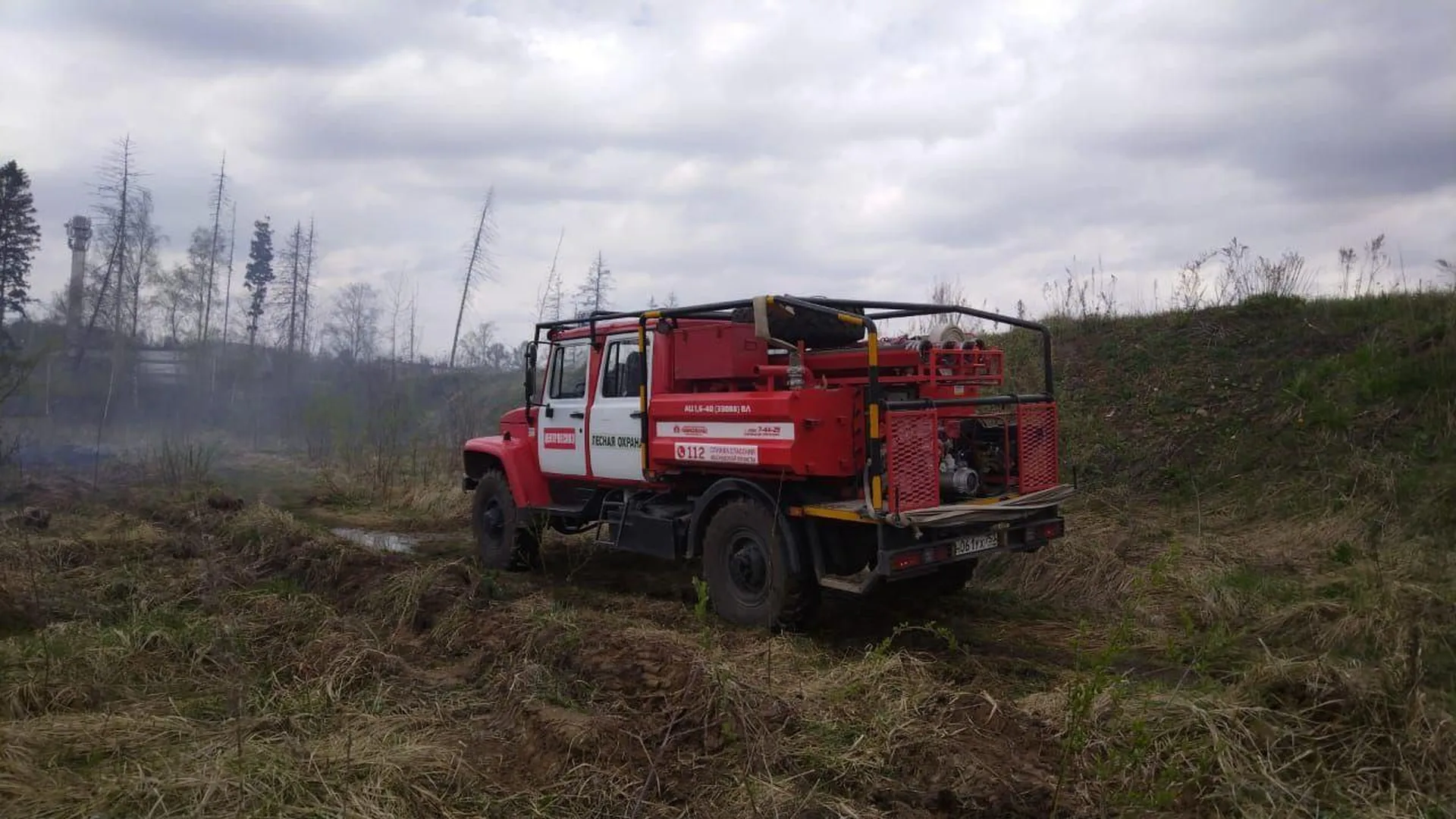 Лесной пожар ликвидировали в Химках