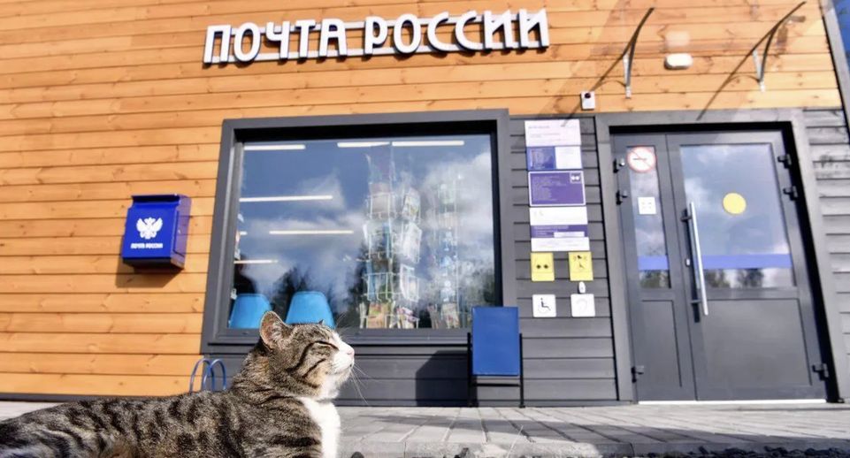 Свыше чем в 600 отделениях «Почты России» Подмосковья есть «Витрина здоровья»