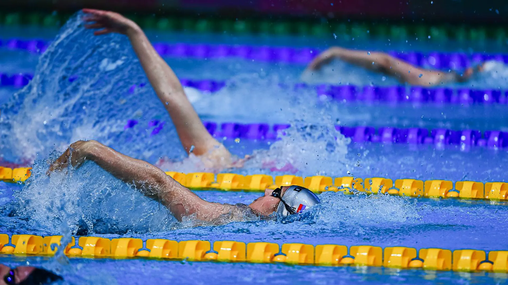 Подмосковные пловцы завоевали 6 медалей чемпионата РФ по плаванию