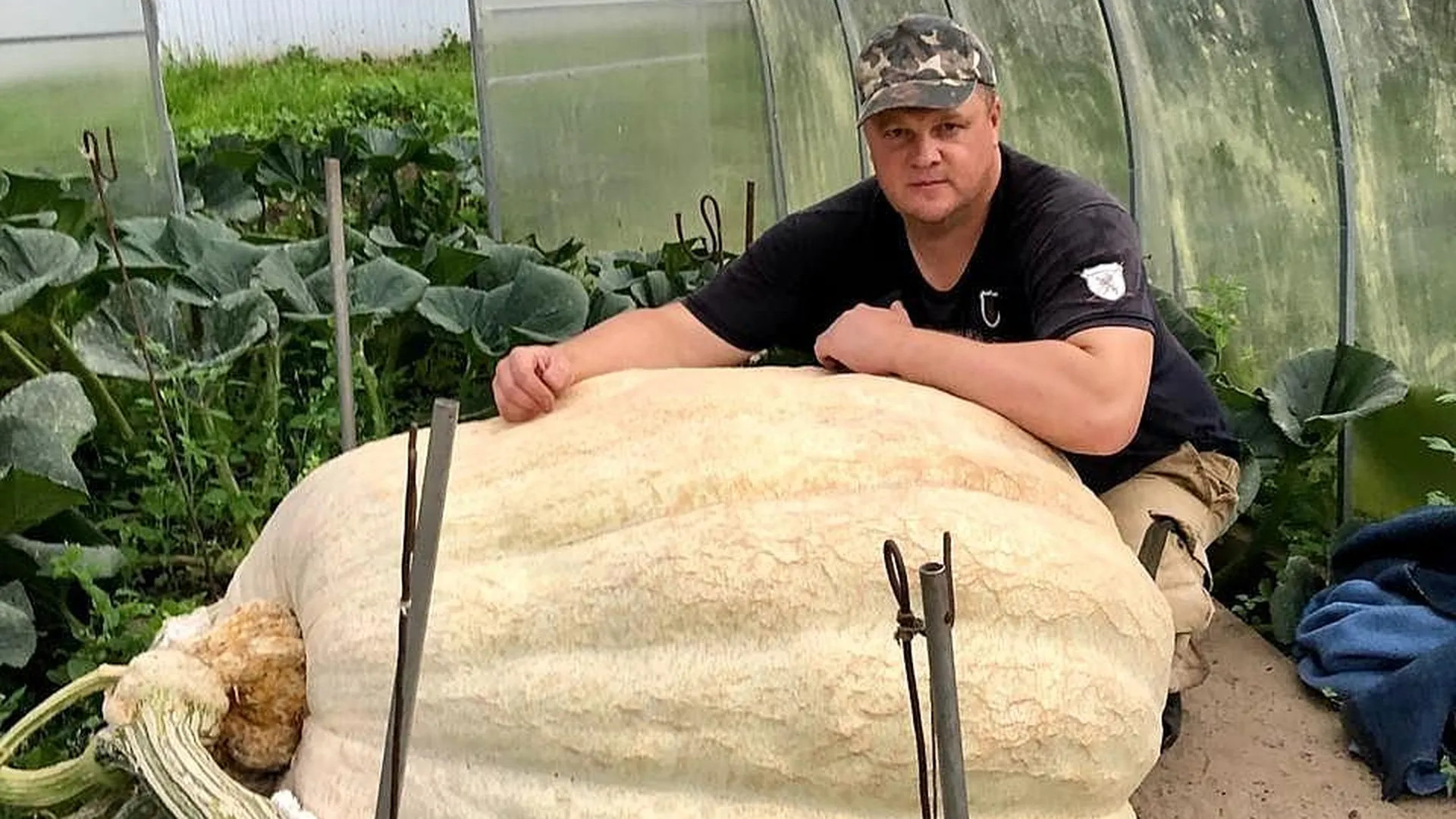 Рекорд России: как подмосковный фермер вырастил тыкву весом почти 700 килограммов
