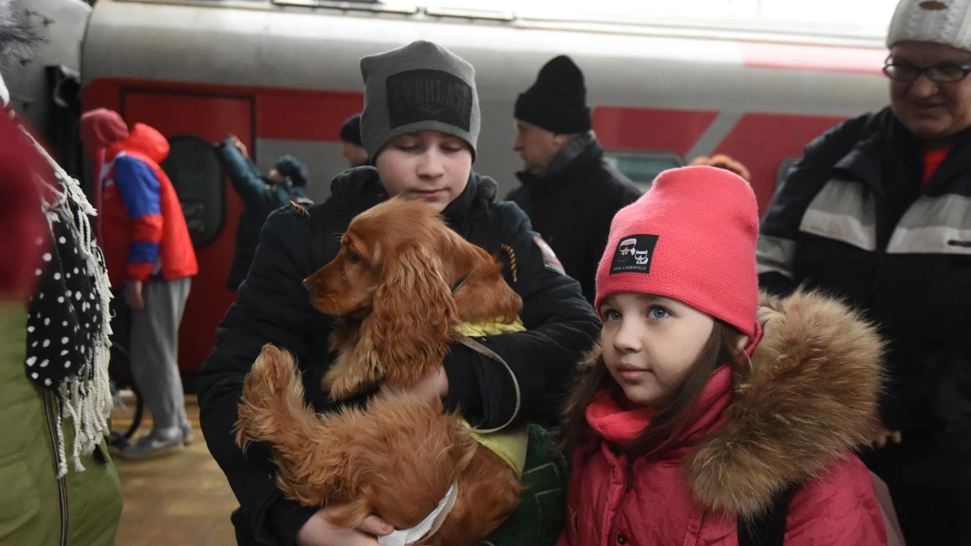 Беженцев из ДНР и ЛНР продолжают размещать в Подмосковье