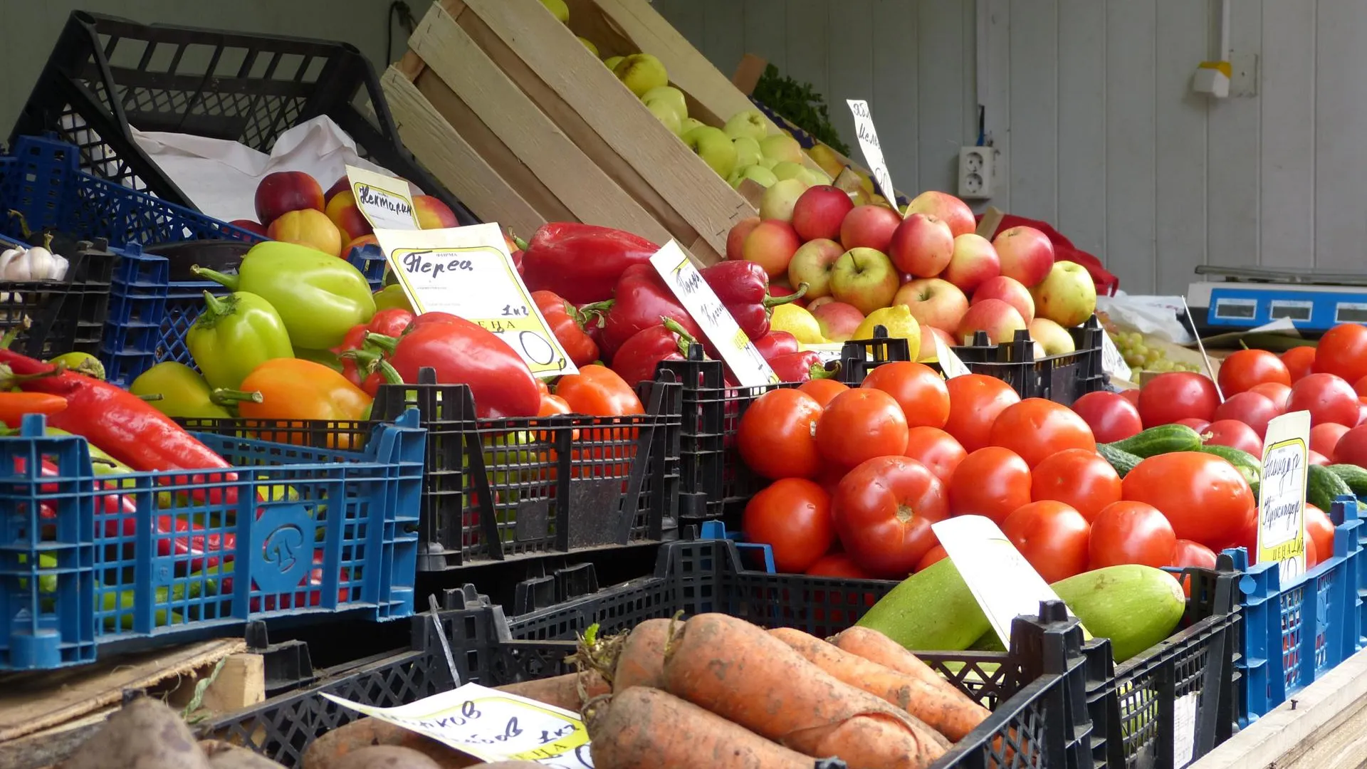 Овощной базар. Овощной рынок балашиха. Овощной рынок. Овощной рынок. Овощной рынок в европе.