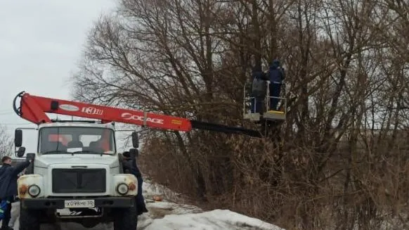 Фотоловушка появилась на месте сброса мусора в деревне Быковка Подольска