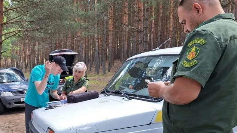 Более 4 100 нарушений лесного законодательства выявили в Подмосковье в этом году