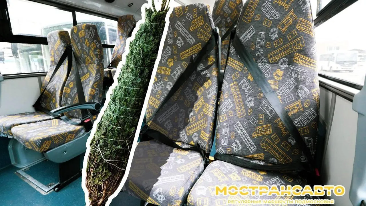 Пассажирам Подмосковья напомнили, как перевозить елки в автобусах