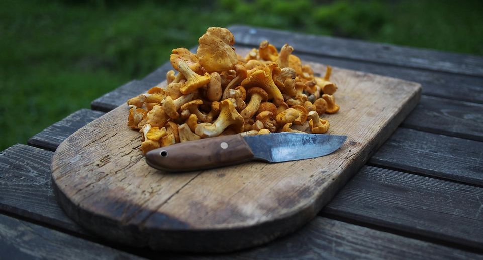 Врач Неронов: безопасная порция грибов — до 200 г в неделю