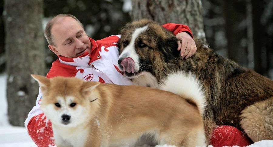Путину дарили собак лидеры Сербии, КНДР, Киргизии, и Болгарии
