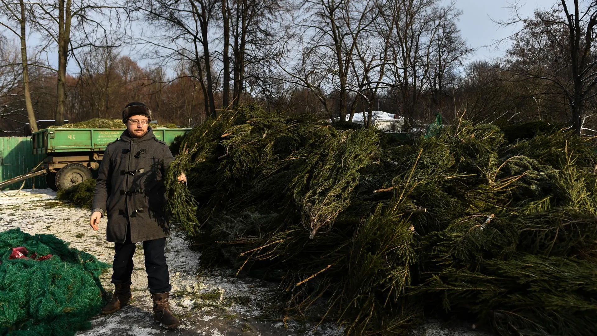Куда сдавать новогодние елки в Москве после праздников в 2019 году