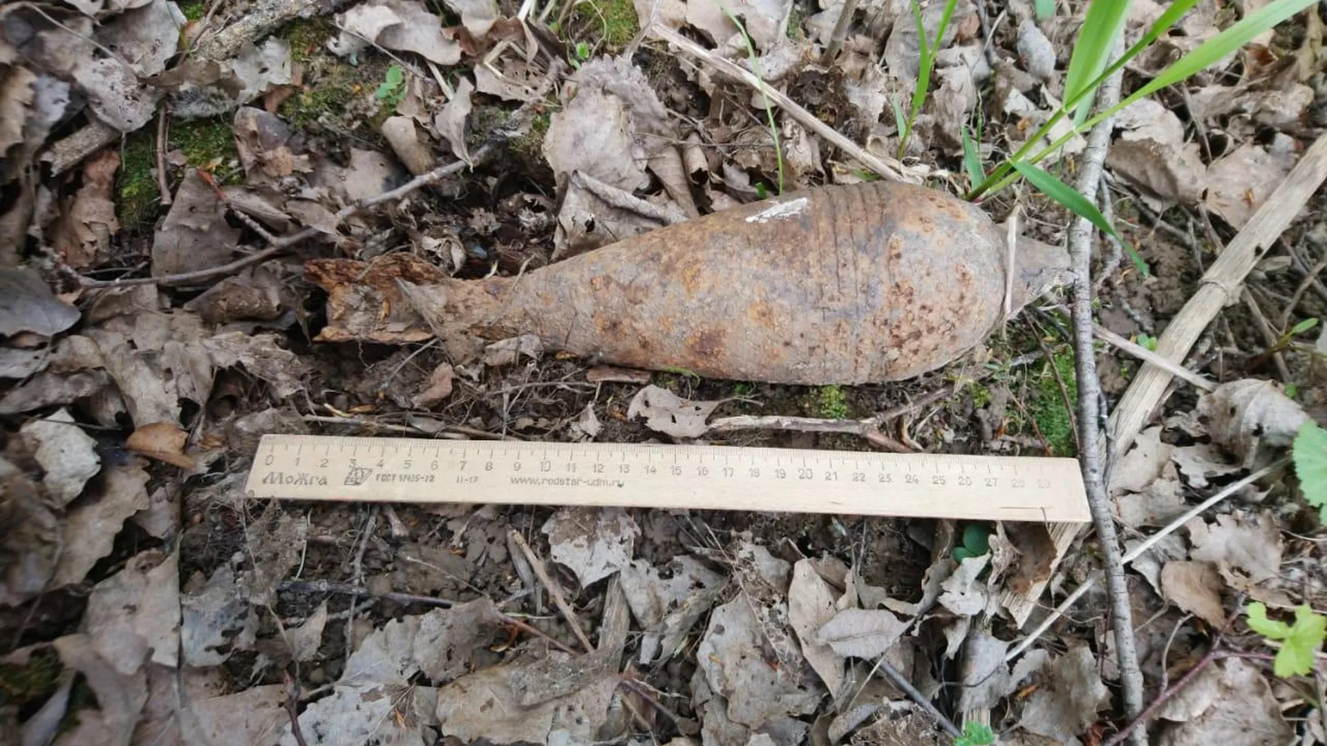 Взрывотехники обезвредили боеприпасы времен ВОВ, найденные в Рузском и Можайском округах