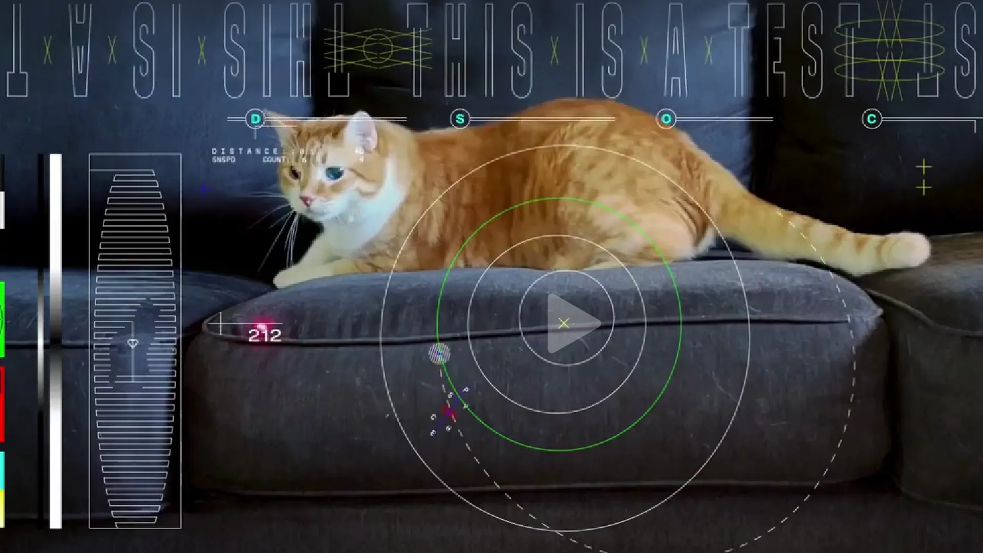 NASA передало на Землю видео с рыжим котом на дистанцию в 31 млн км