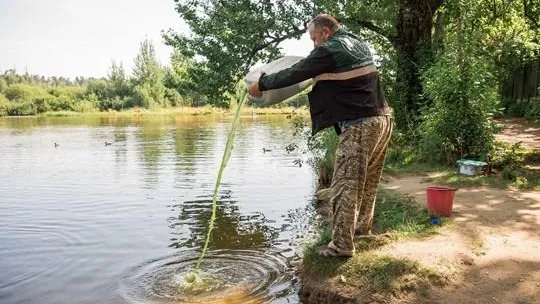 Озеро Аниськино в Балашихе очистили от токсичных водорослей