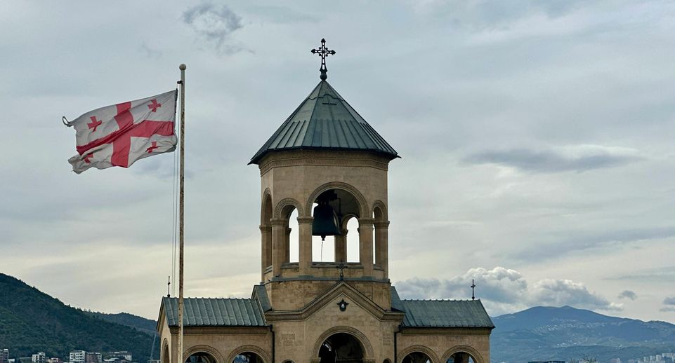Грузия начала депортацию 25 иностранцев, которые участвовали в протестах
