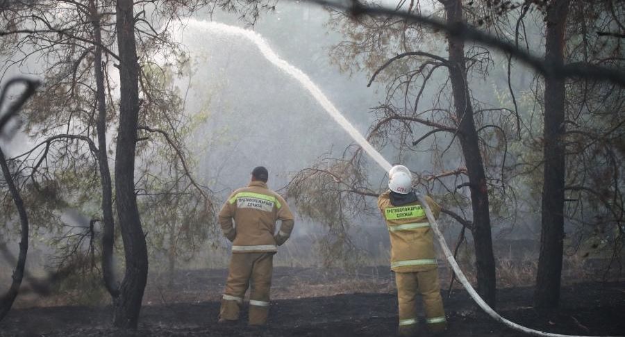 МЧС: природный пожар в крымском Коктебеле локализовали