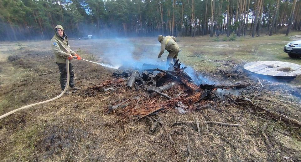 Лесной пожар ликвидировали вблизи Луховиц